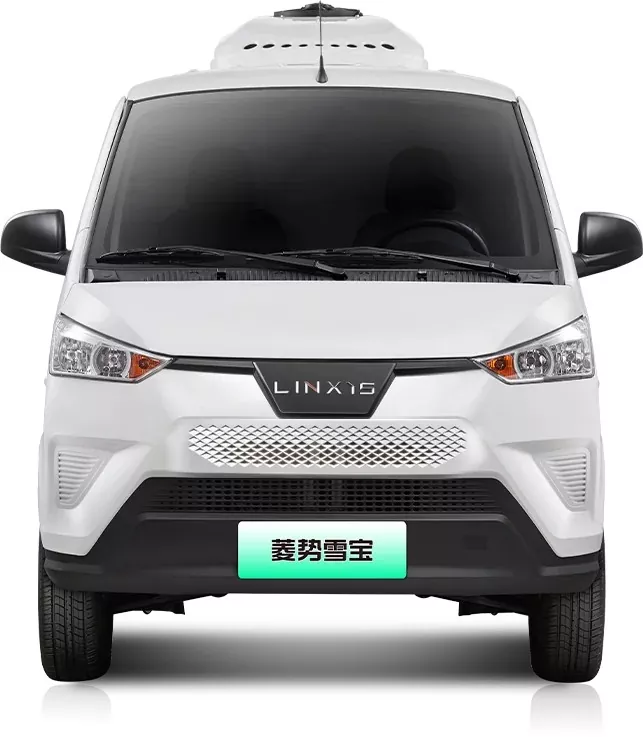 Wat makket it elektryske koelkast van sa essensjeel foar moderne logistyk?
