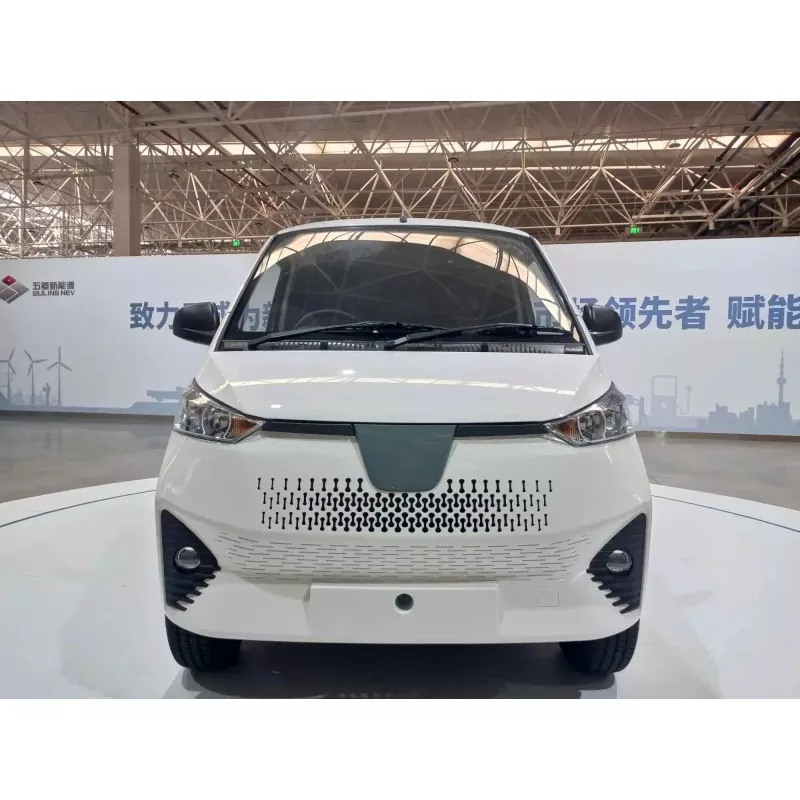 Wat is in elektryske minibus?